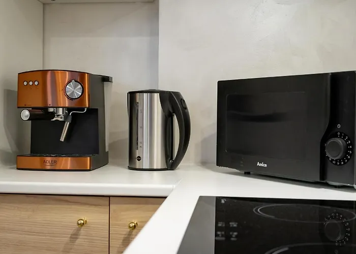 Kamienica Centrum Nr 4 슈체친